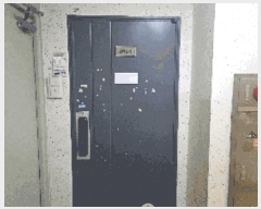  2025Ÿ11596 泲 õȽ ϱ ֿ뵿 1233 Ʈ 101 161603ȣ   Ʈ