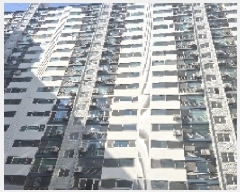  2025Ÿ11596 泲 õȽ ϱ ֿ뵿 1233 Ʈ 101 161603ȣ   Ʈ