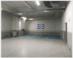  2025Ÿ��11681  ���ǽ��ڰ��