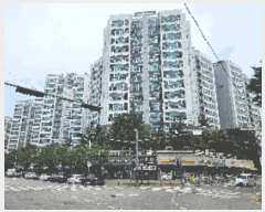  2025Ÿ11810 泲 õȽ   583 2ġŸƮ 207 1101ȣ   Ʈ