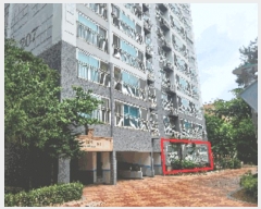  2025Ÿ11810 泲 õȽ   583 2ġŸƮ 207 1101ȣ   Ʈ