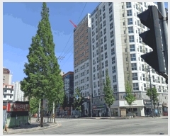  2025Ÿ11827 泲 õȽ ϱ  1324 ƿʺ 7719ȣ    ǽڰ