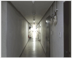  2025Ÿ11827 泲 õȽ ϱ  1324 ƿʺ 7719ȣ    ǽڰ