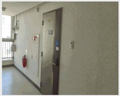  2025Ÿ11827 泲 õȽ ϱ  1324 ƿʺ 7719ȣ    ǽڰ