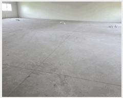  2025Ÿ��11892  �ٸ��ü����