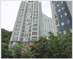  2025Ÿ��11900 �泲 �ƻ�� ��� 327 �ھƷ����ũ 104�� 1��105ȣ    ����Ʈ���