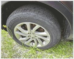  2025Ÿ��11941 õ�Ƚ� ������ ���Ÿ� �찢��� 21      �������