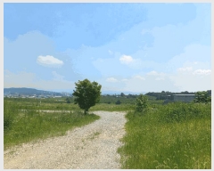  2025Ÿ��11981 �泲 õ�Ƚ� ��ȯ�� �۴��� 196-10      ����(������)���