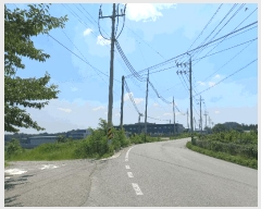  2025Ÿ��11981 �泲 õ�Ƚ� ��ȯ�� �۴��� 196-10      ����(������)���