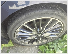  2025Ÿ12181 õȽ  Ÿ 긮 725      