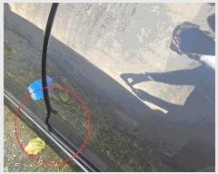  2025Ÿ12181 õȽ  Ÿ 긮 725      