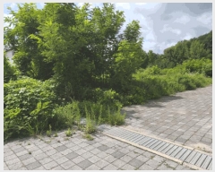  2025Ÿ��12260  �������