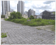  2025Ÿ��12260  �������