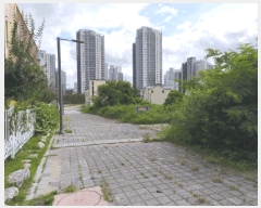  2025Ÿ��12260  �������