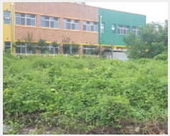  2025Ÿ��12260  �������