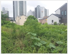  2025Ÿ��12260  �������