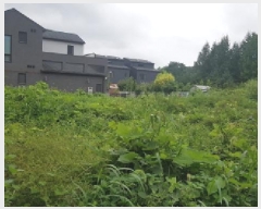  2025Ÿ��12260  �������