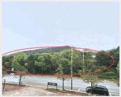  2025Ÿ��12290  �������