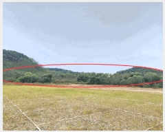  2025Ÿ��12290  �������