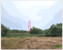  2025Ÿ��12290  �������