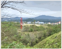  2025Ÿ��12290  �������