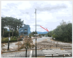  2025Ÿ��12290  �������