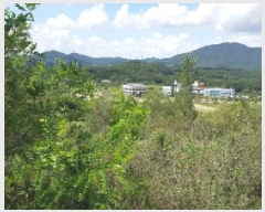  2025Ÿ��12290  �������