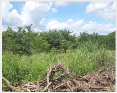  2025Ÿ��12290  �������