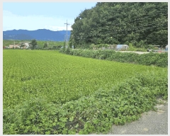  2025Ÿ��12316  ����