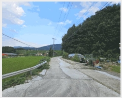  2025Ÿ��12316  ����