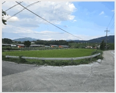  2025Ÿ��12316  ����