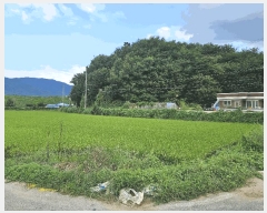  2025Ÿ��12316  ����