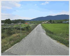  2025Ÿ��12316  ����