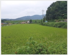  2025Ÿ��12316  ����