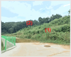  2025Ÿ��12335  �Ӿ߰��