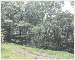  2025Ÿ��12335  �Ӿ߰��