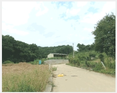  2025Ÿ��12335  �Ӿ߰��