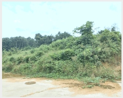  2025Ÿ��12335  �Ӿ߰��