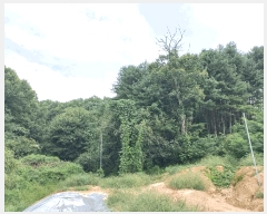  2025Ÿ��12335  �Ӿ߰��