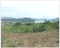  2025Ÿ��12335  �Ӿ߰��