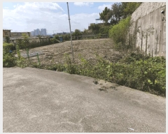  2025Ÿ��12453 �泲 õ�Ƚ� ���ϱ� ������ ���긮 268-1     ����(��1)���