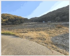  2025Ÿ��12474  ����