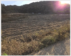  2025Ÿ��12474  ����