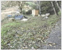  2025Ÿ��12474  ����