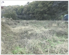  2025Ÿ��12474  ����