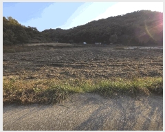  2025Ÿ��12474  ����