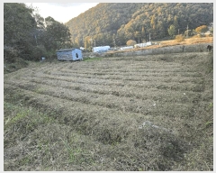  2025Ÿ��12474  ����