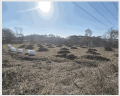  2025Ÿ326 泲 ƻ â ȭ 81-12      (1)