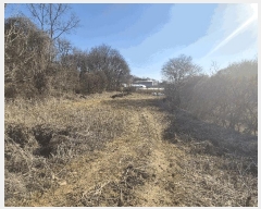  2025Ÿ326 泲 ƻ â ȭ 81-12      (1)