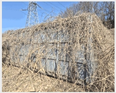  2025Ÿ326 泲 ƻ â ȭ 81-12      (1)